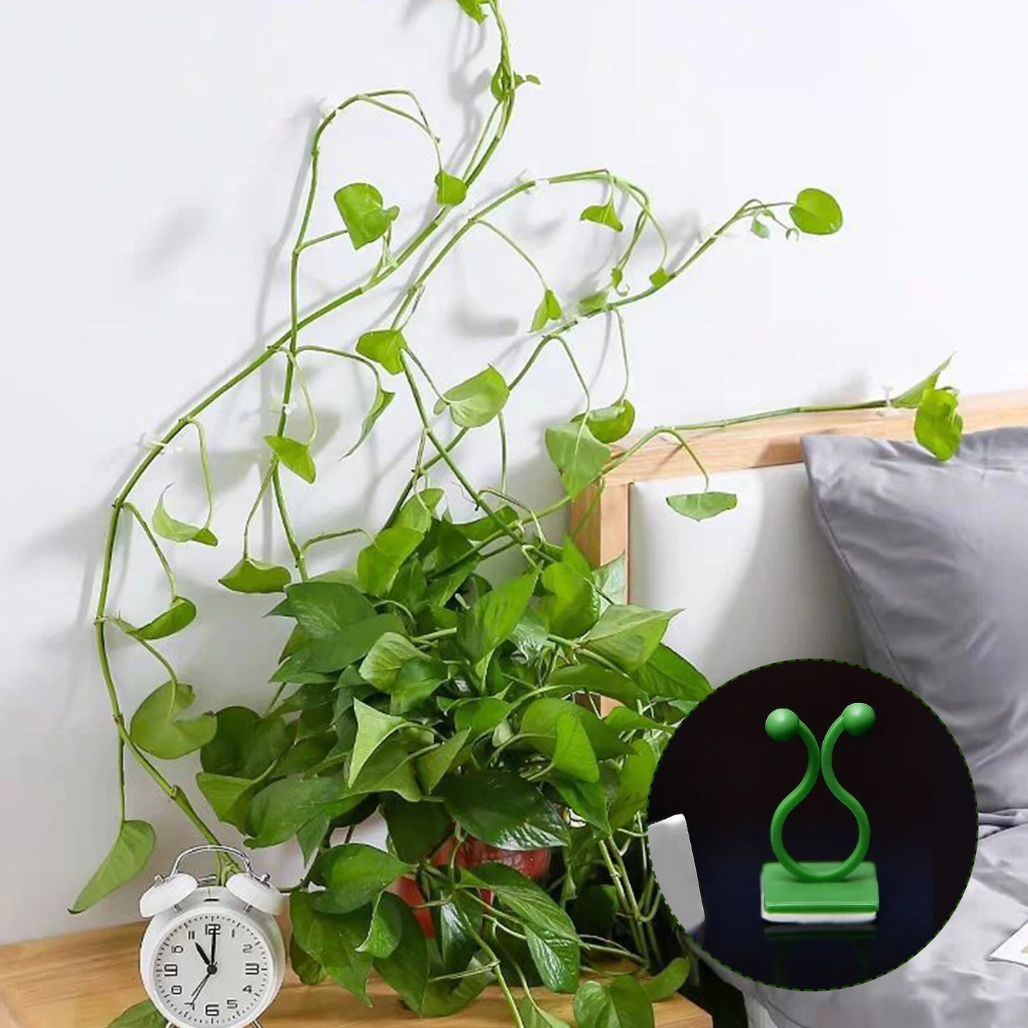 Alloet Plant Climbing Wall Fixture Clips For Climbing Plants