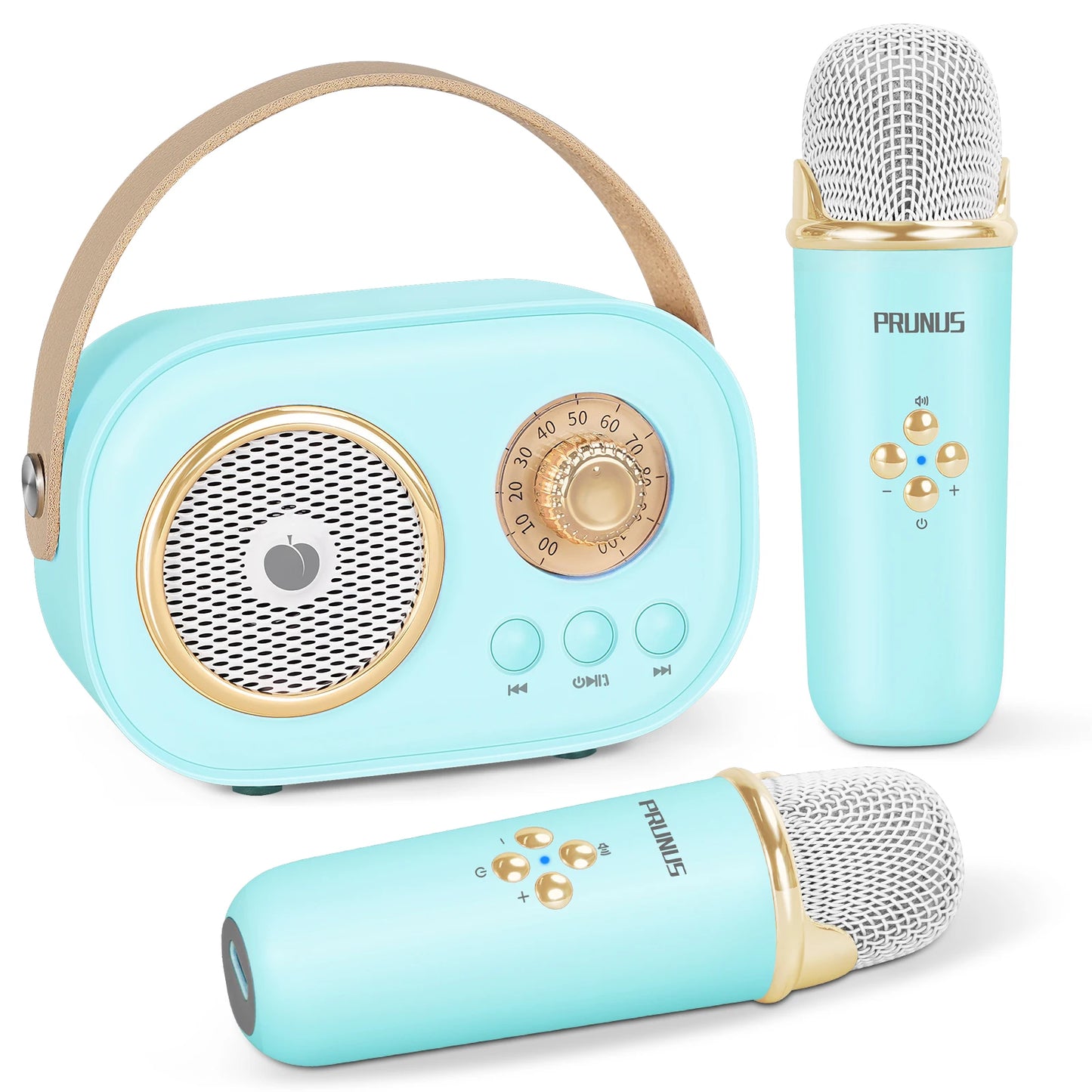 PRUNUS Karaoke Machine Bluetooth Speaker With 2 Wireless Mics