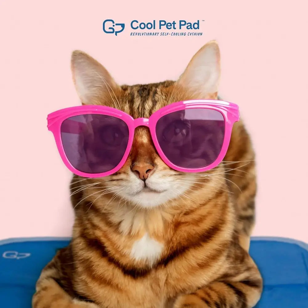 Cool Pet Pad Cooling Mat Non-Toxic Gel No Water Needed