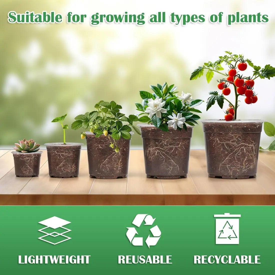 Clear Nursery Pots With Drainage Holes For Seedlings And Succulents