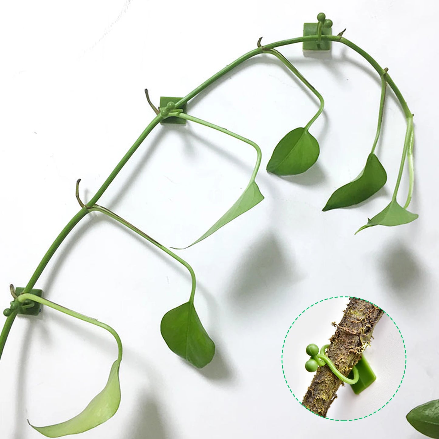 Alloet Plant Climbing Wall Fixture Clips For Climbing Plants