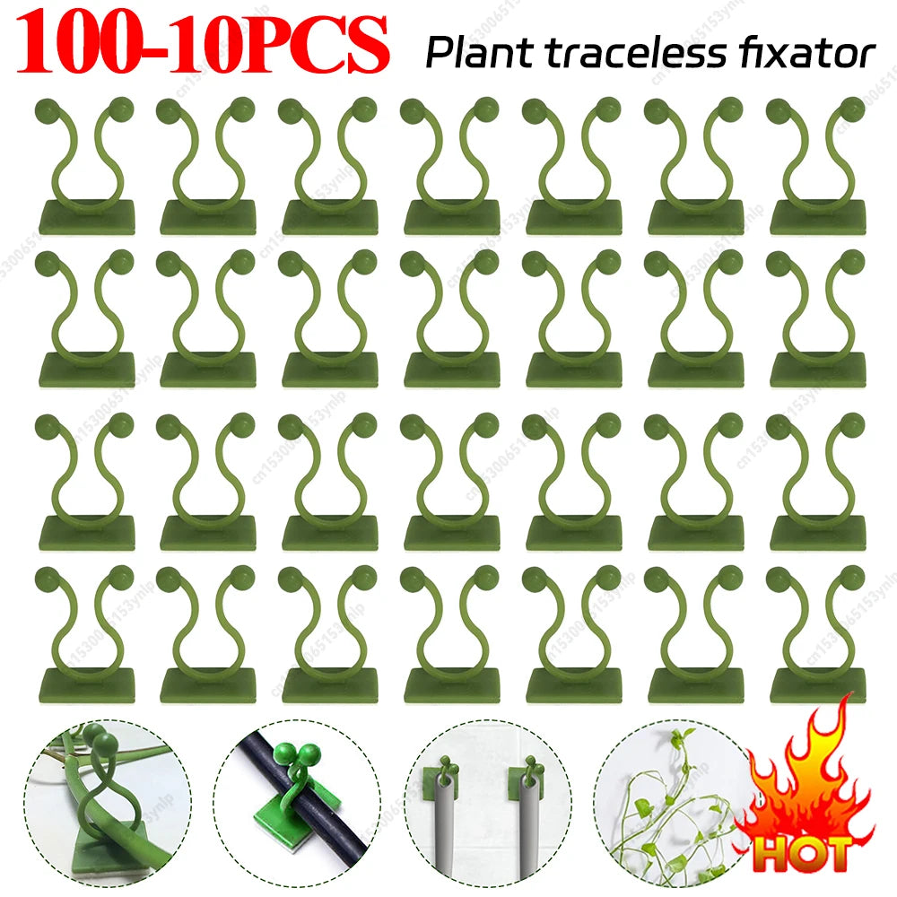 Plant Climbing Wall Clips Vine Buckle Hooks Self Adhesive