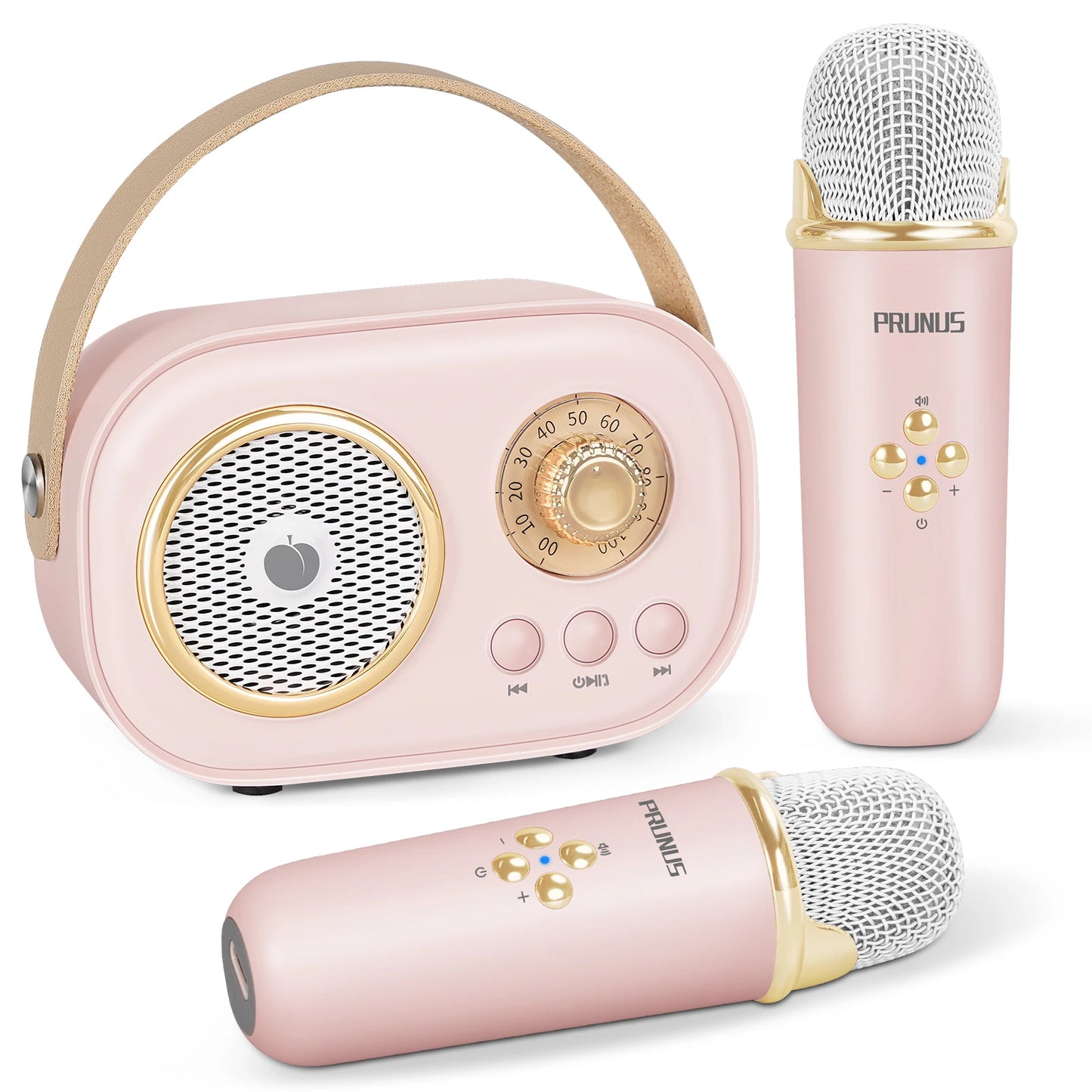 PRUNUS Karaoke Machine Bluetooth Speaker With 2 Wireless Mics