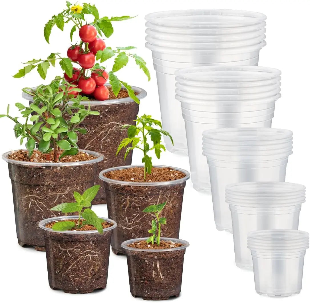 Clear Nursery Pots With Drainage Holes For Seedlings And Succulents