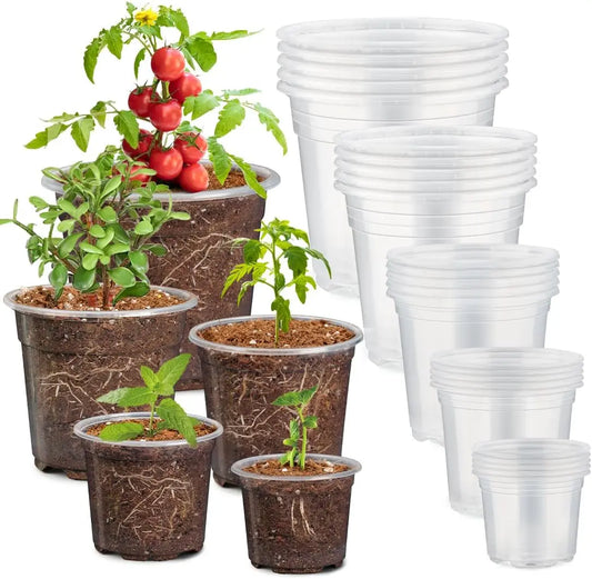 Clear Nursery Pots With Drainage Holes For Seedlings And Succulents
