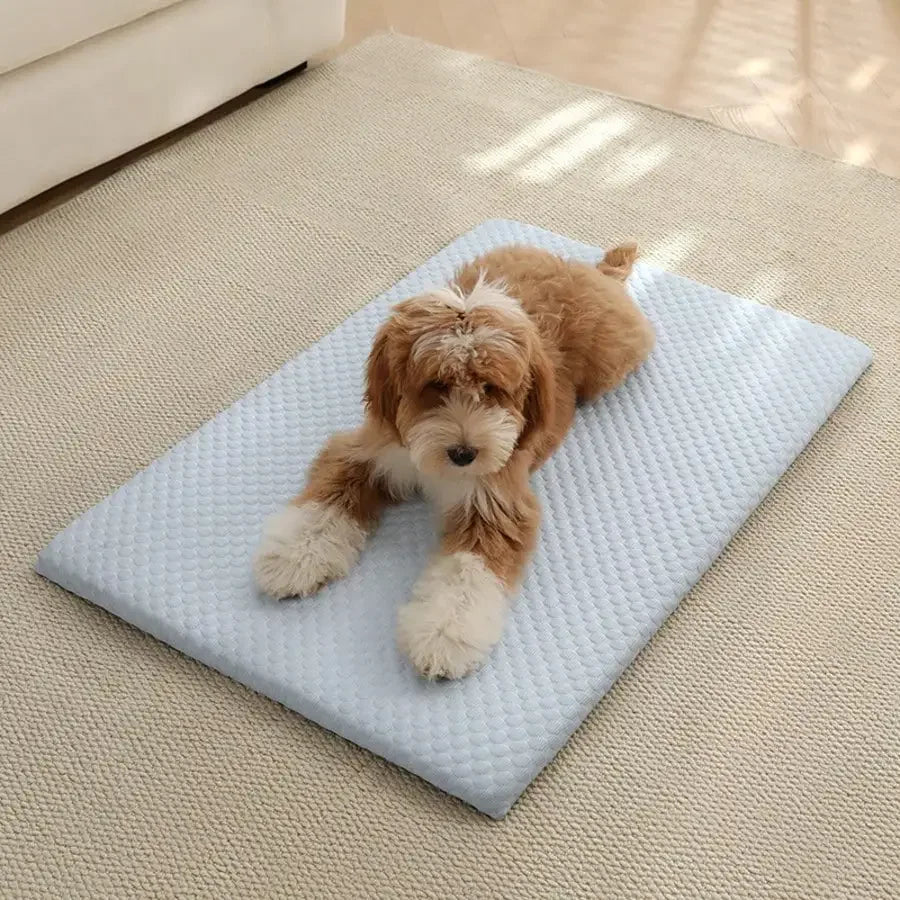 Breathable Cooling Cat And Dog Bed With Washable Thick Padding