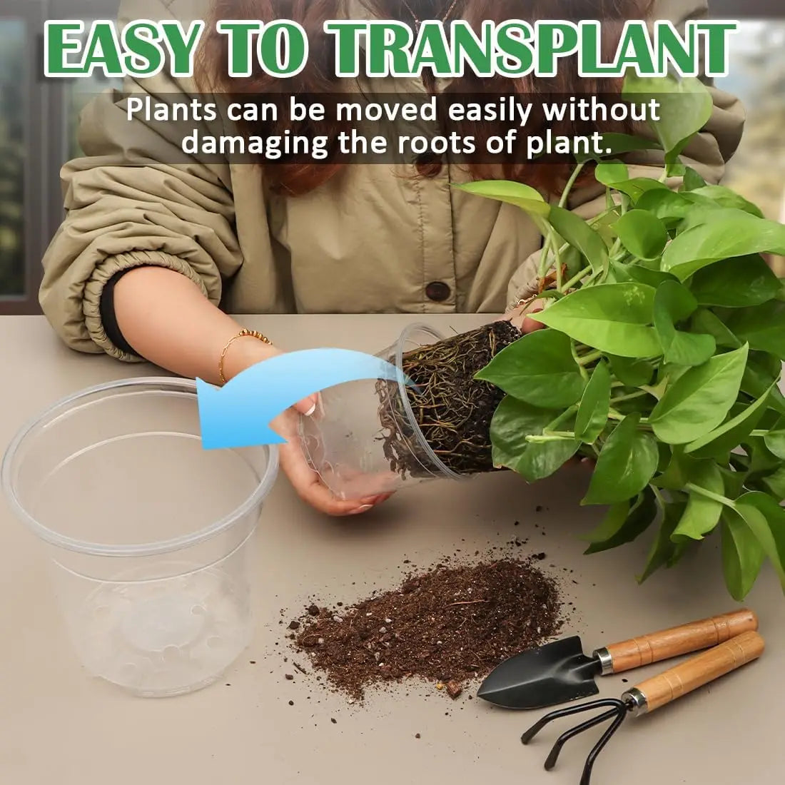 Clear Nursery Pots With Drainage Holes For Seedlings And Succulents