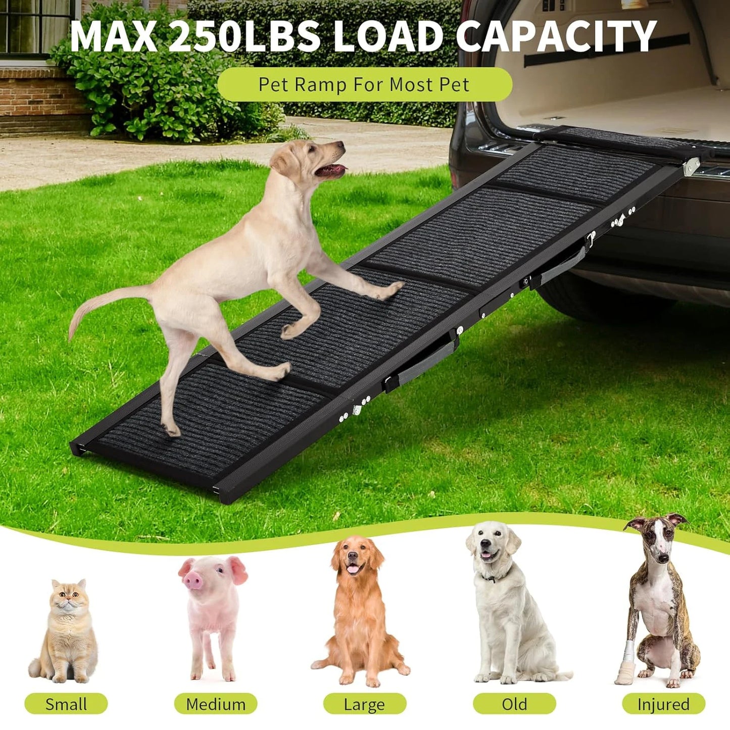 HiMISS Upgraded Dog Ramp for Cars Folding Ramp Non Slip
