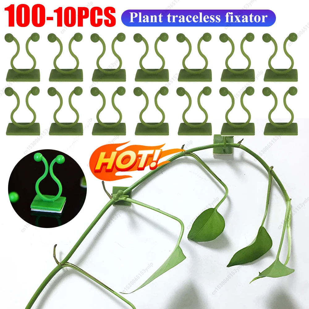 Plant Climbing Wall Clips Vine Buckle Hooks Self Adhesive