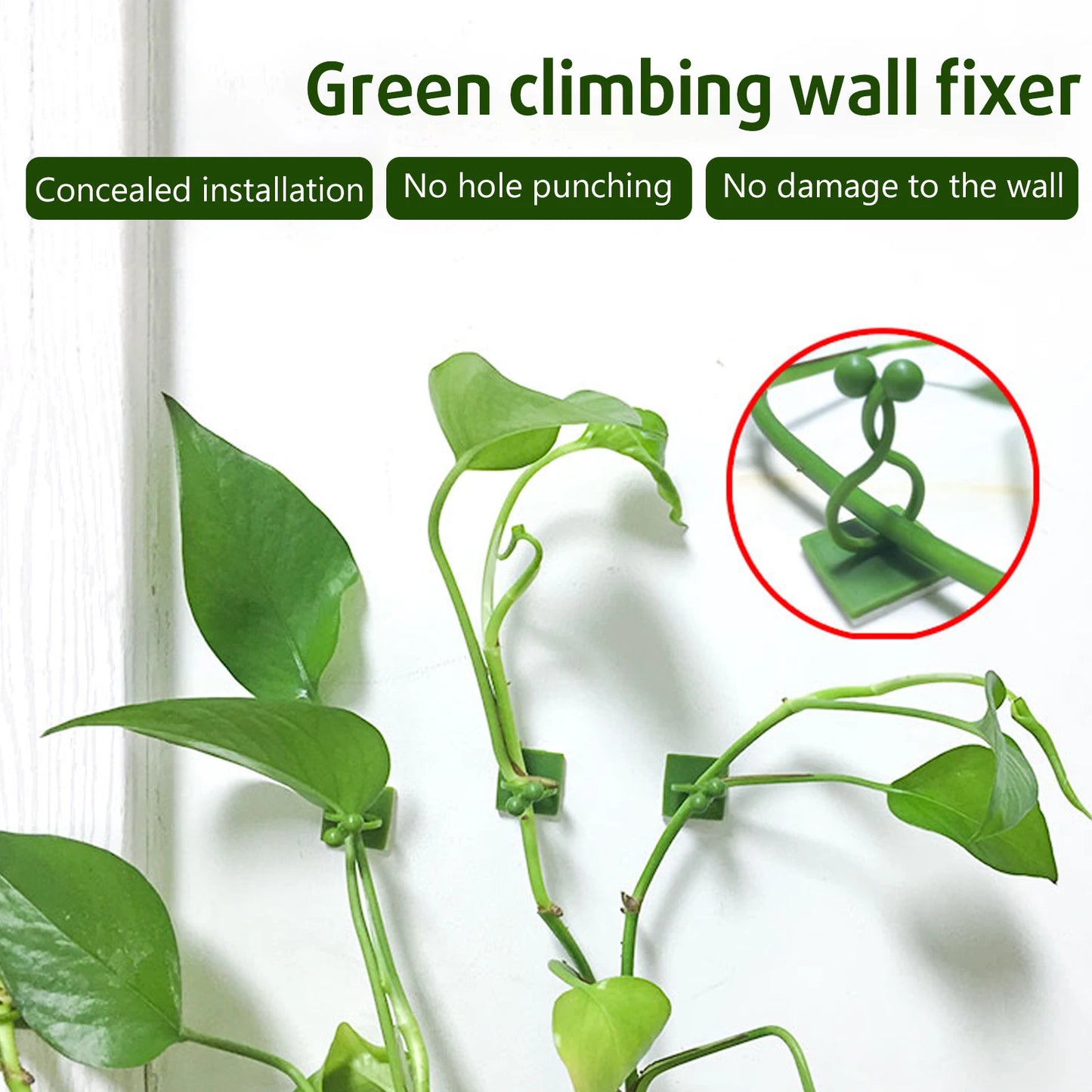 Plant Climbing Wall Clips Vine Buckle Hooks Self Adhesive