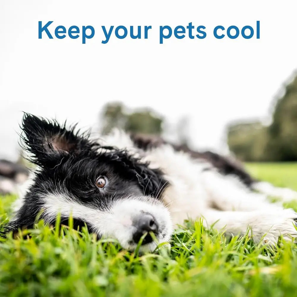 Cool Pet Pad Cooling Mat Non-Toxic Gel No Water Needed