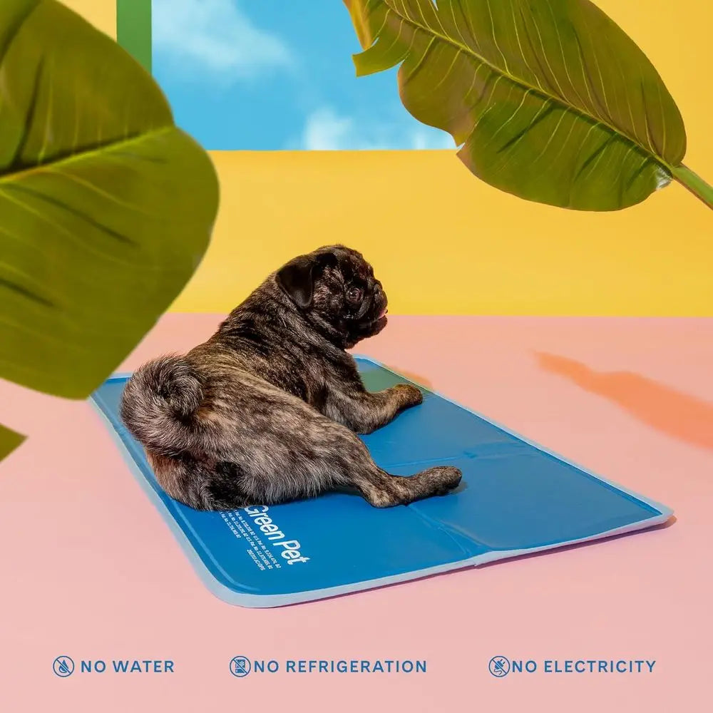 Cool Pet Pad Cooling Mat Non-Toxic Gel No Water Needed
