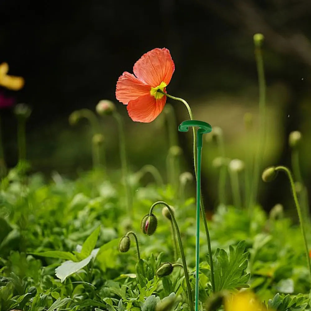 Plant Stakes Reusable Flower Support Sticks For Indoor Outdoor Plants