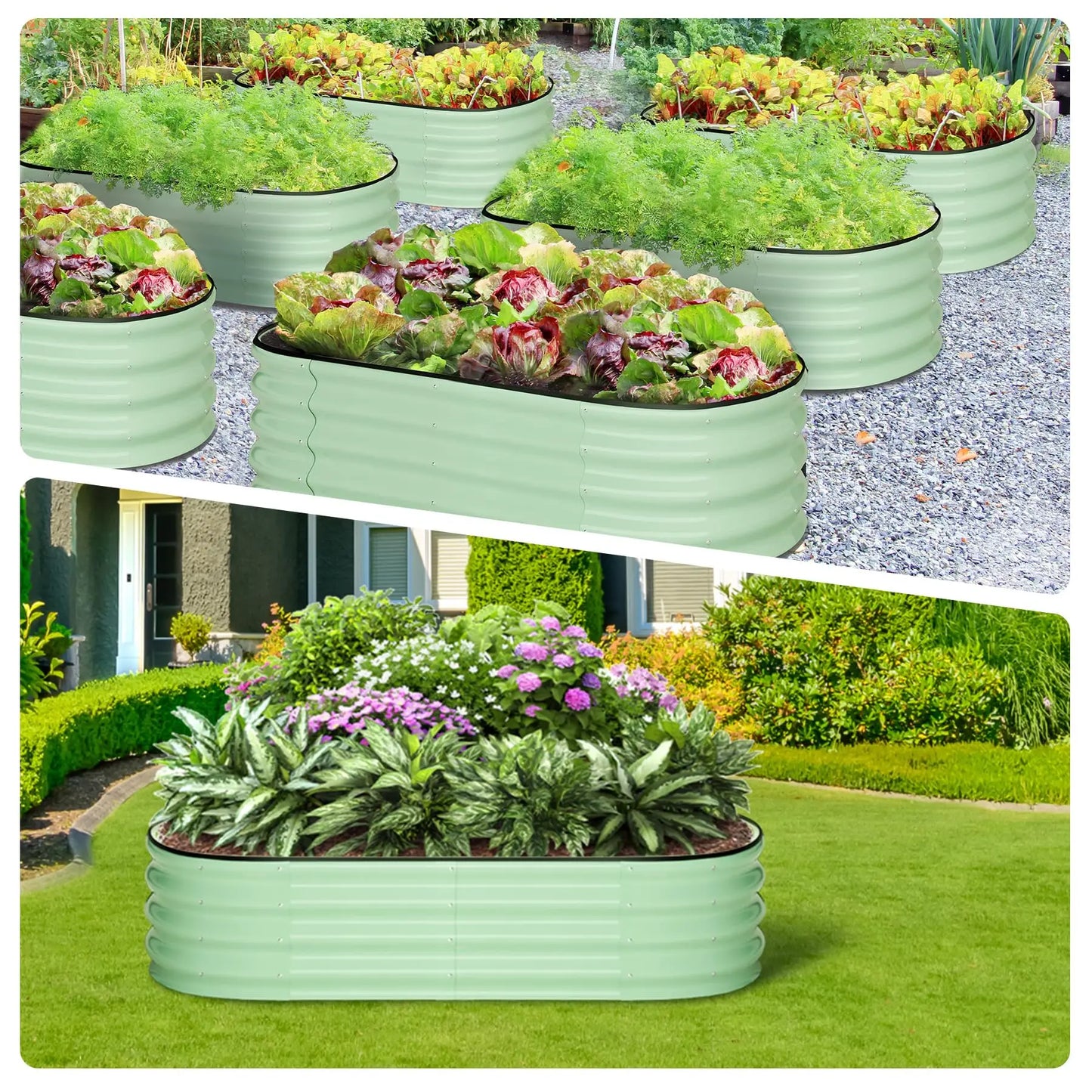 HiMISS Oval Galvanized Steel Raised Garden Bed Two-Pack
