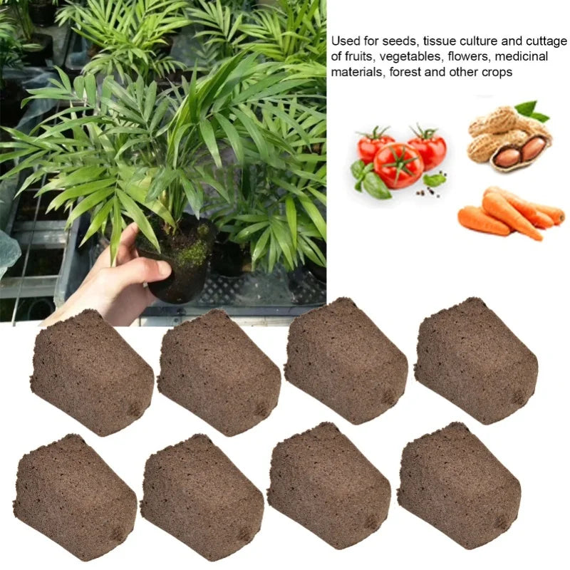 Growth Plugs Seed Starter For Hydroponic And Soil Applications